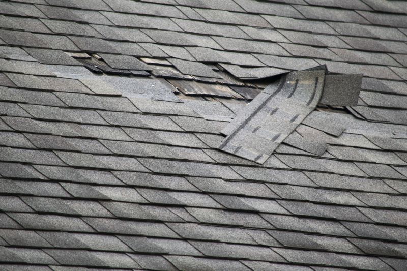 Asphalt Roof Repair Image 4